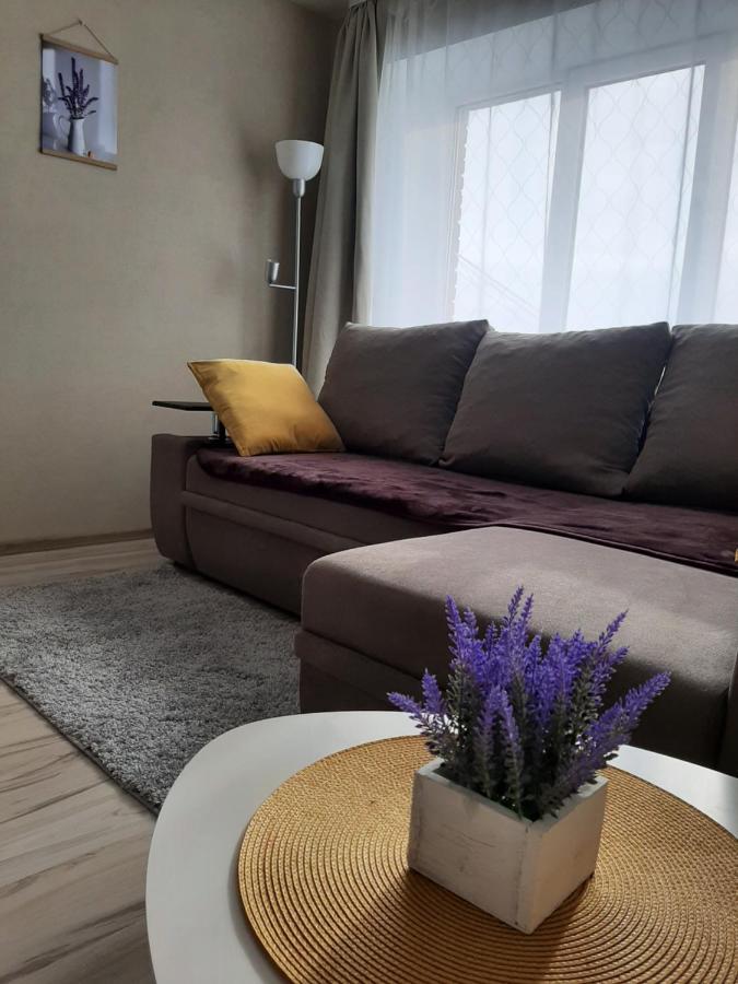 Ir Apartment Rēzekne Екстериор снимка